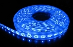 LED strips, Single color WATERPROOF 3528 BLUE 6W/1M, 60LED/1M